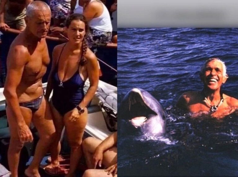 История спасения дельфина: урок от Энцо Майорки