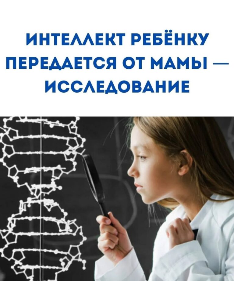 Интеллект ребенка: роль наследственности и внешних факторов